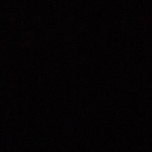 Meet your Posher, Roy